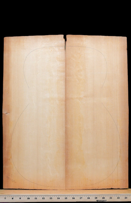 Collection image for: German Spruce Tops