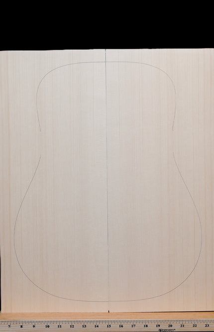 Collection image for: Engelmann Spruce Tops