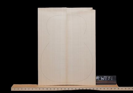 Carpathian Spruce Acoustic Guitar Top, OM / Classical, AA (#WT81)