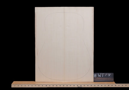 Carpathian Spruce Acoustic Guitar Top, Dreadought / AAA (#WT78)