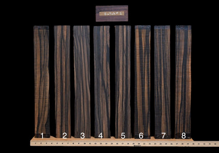 Exotic Ebony Fretboard [Batch #1]