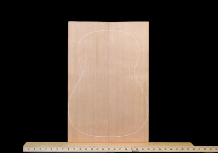 Western Red Cedar Top / Soundboard for Classical / Small Guitar (WT903)