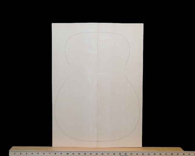 Carpathian Spruce Bearclaw Acoustic Guitar Top, OM / Classical, AA (#WT288)