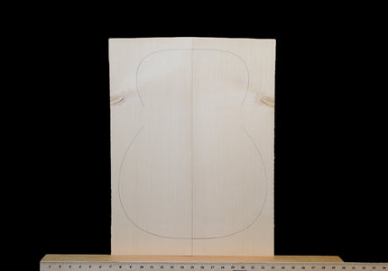 Carpathian Spruce Acoustic Guitar Top, OM / Classical, AA (#WT287)