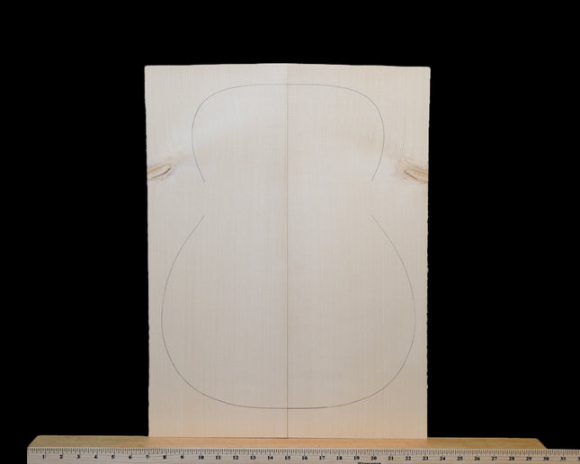 Carpathian Spruce Acoustic Guitar Top, OM / Classical, AA (#WT287)