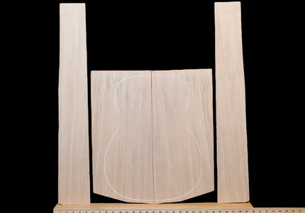 Avodire / Blonde Mahogany Back and Sides, OM (#WT380)