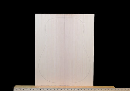 Sitka Spruce Acoustic Guitar Top, Dreadnought, AAA (#WT295)