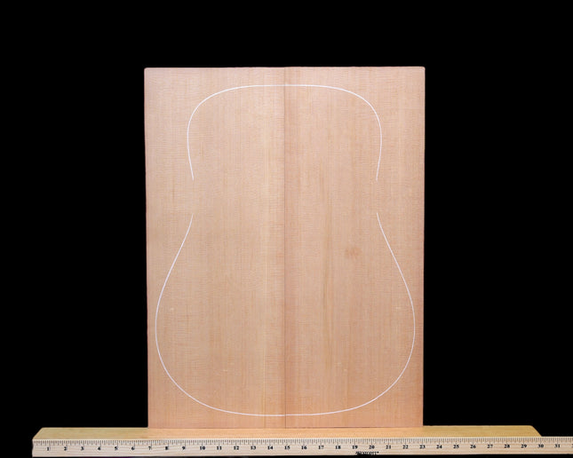Western Red Cedar Top / Soundboard for Dreadnought (WT911)