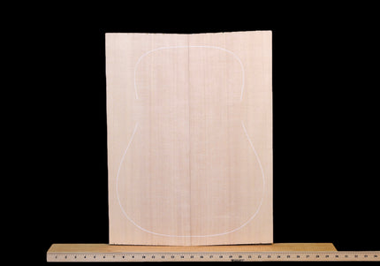Sitka Spruce Acoustic Guitar Top, Dreadnought, AAA (#WT252)