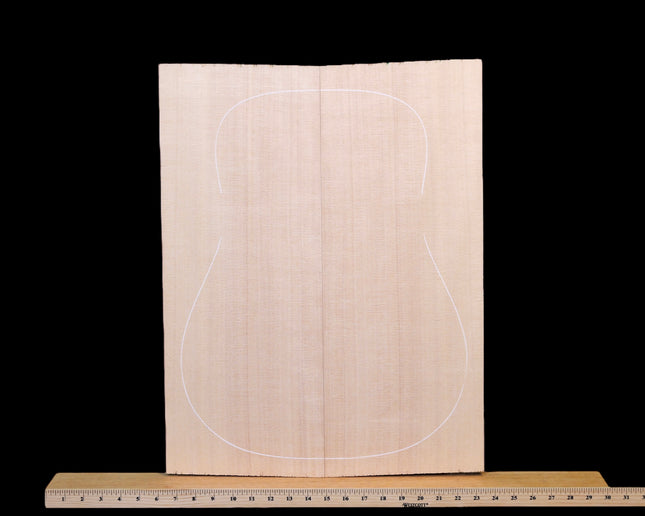Sitka Spruce Acoustic Guitar Top, Dreadnought, AAA (#WT252)