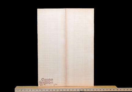 Italian Spruce Acoustic Guitar Top from Wood 'n' Tones / The Abies Project, Dreadnought, 5A (#WT3900)