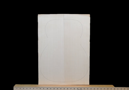 Carpathian Spruce Acoustic Guitar Top, OM / Classical, AA (#WT290)