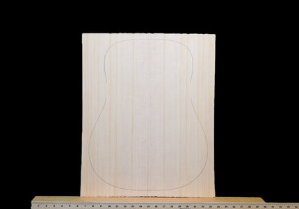 Sitka Spruce Acoustic Guitar Top, Dreadnought, AA (#WT299)