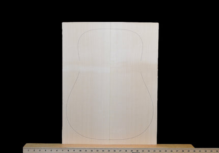 Carpathian Spruce Acoustic Guitar Top, Dreadnought, AA (#WT282)