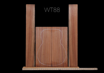 Tasmanian Blackwood Acoustic Guitar Back and Sides, OM (#WT88)
