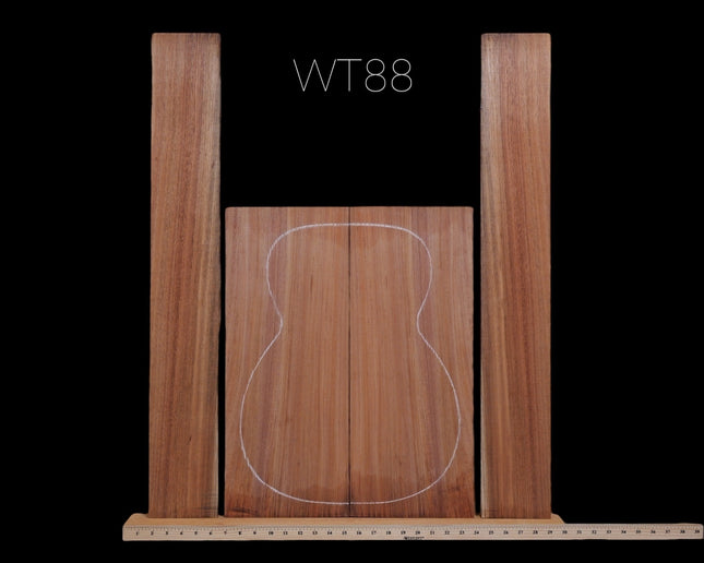 Tasmanian Blackwood Acoustic Guitar Back and Sides, OM (#WT88)