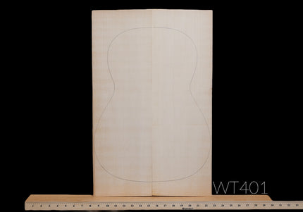 Carpathian Spruce Acoustic Guitar Top, Classical / Small Guitar, AA (#WT401)