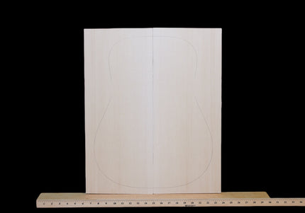 Engelmann Spruce Acoustic Guitar Top, Dreadought / AA (#WT250)