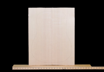 Sitka Spruce Acoustic Guitar Top, Dreadnought, AAA (#WT251)
